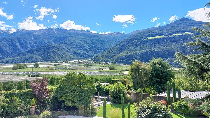 Bild 003