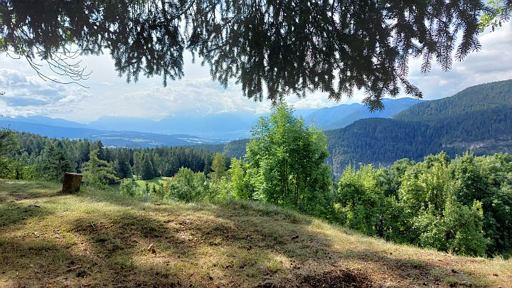Bild 016